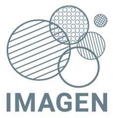 IMAGEN